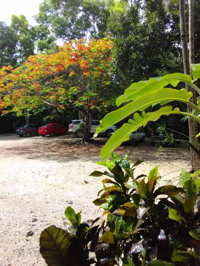 Villas Ecotucan Bacalar Esterno foto
