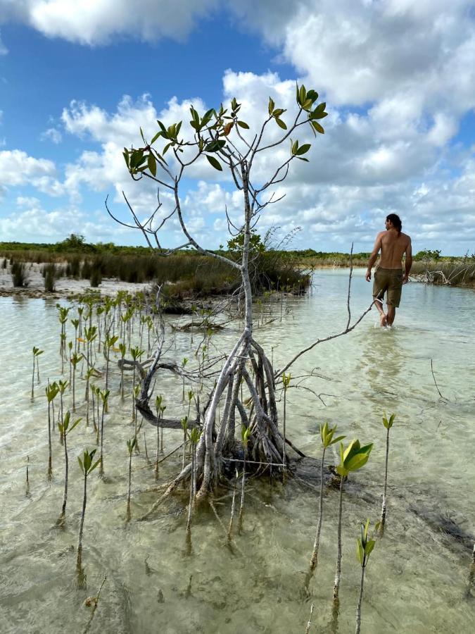 Villas Ecotucan Bacalar Esterno foto